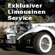 limusienen service