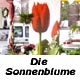 die sonnenblume